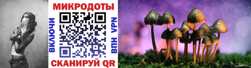 Псилоцибиновые грибы Cubensis  наркотики  Кунгур 